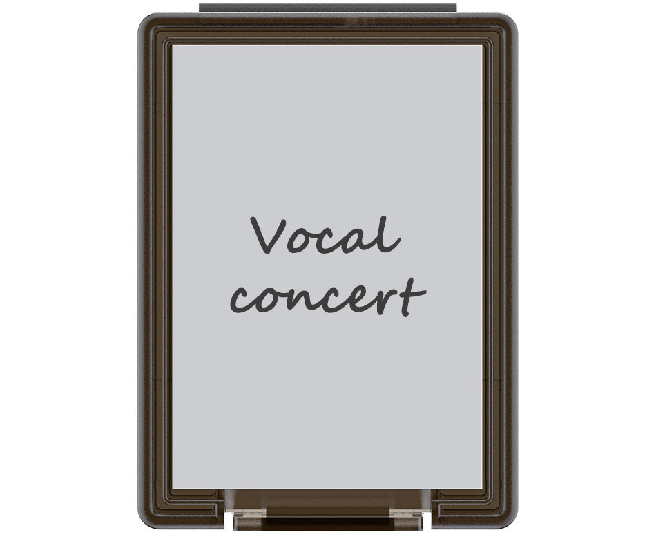 Прозрачный держатель для карт памяти CFexpress Type B / XQD (12 штук)