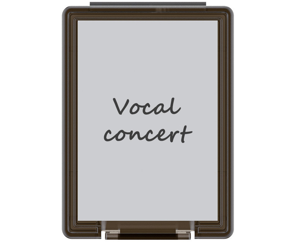 Прозрачный держатель для карт памяти CFexpress Type B / XQD (6 штук)