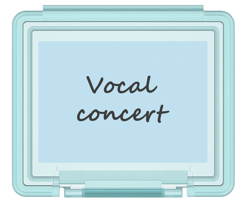 Прозрачный держатель для карт памяти CFexpress Type A (12 штук)